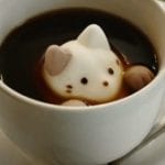 cat-cafe-marshmallows