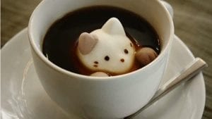 cat-cafe-marshmallows